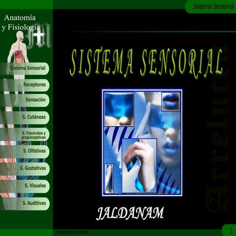 Sistema sensorial