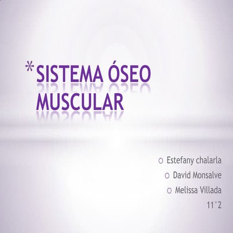Sistema óseo muscular
