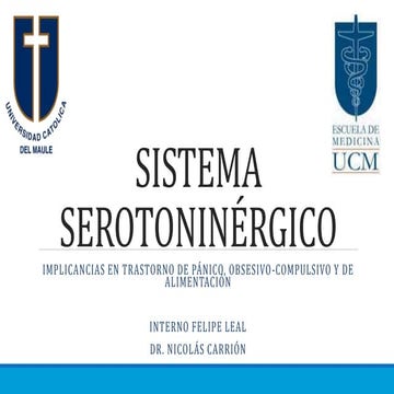Sistema serotoninérgico