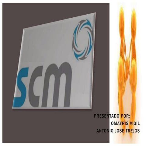 Sistemas scm