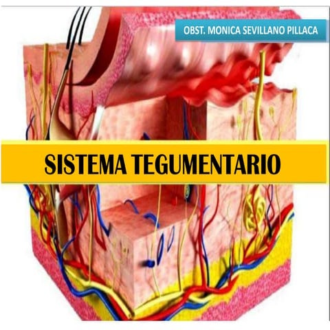 SISTEMA TEGUMENTARIO.pdf