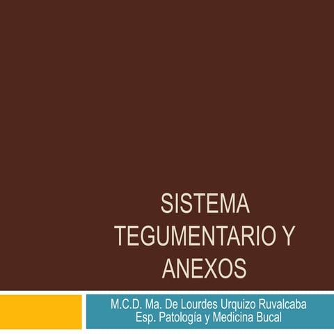 Sistema tegumentario y anexos 