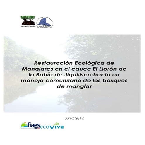 Sistematización Restauracion Ecologica de Manglares el llorón