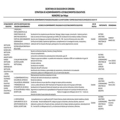 Sistematizacion y acompañamiento pedagogico ie y ce