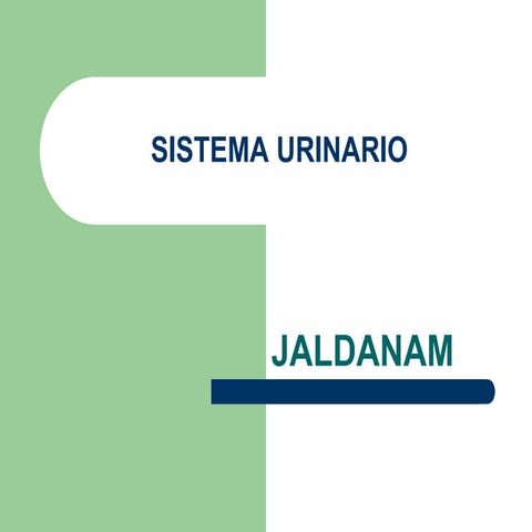Sistema urinario
