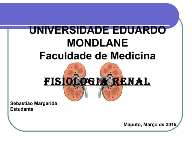 Sistema urinário