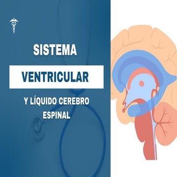 Comprehensive Overview of the Ventricular System and Cerebrospinal ...