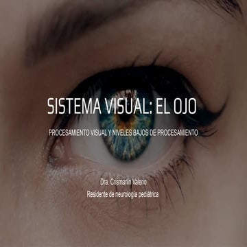 sistema visual ANATOMIA Y FISIOLOGIA.pptx