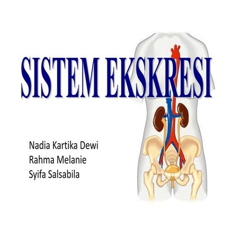 Sistem ekskresi