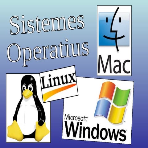Sistemes informatics