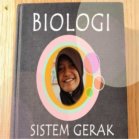 Sistem gerak