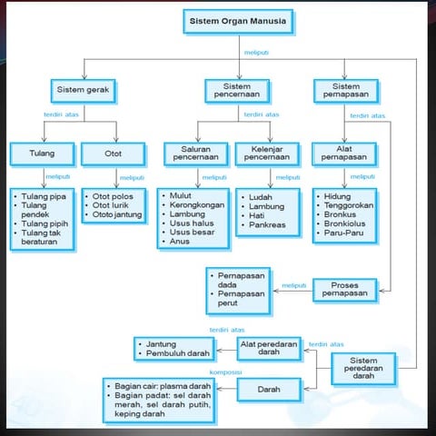 Sistem gerak pada manusia