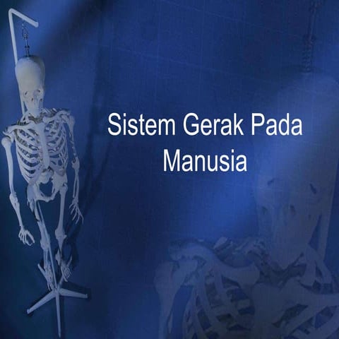 Sistem gerak pada manusia