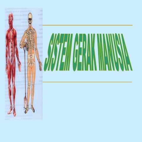 Sistem Gerak Manusia - Biologi 
