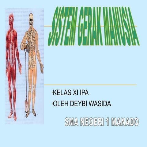 SISTEM GERAK PADA MANUSIA KELAS XI IPA