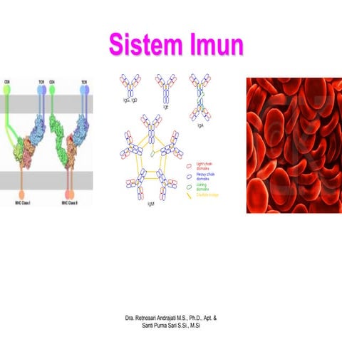 Sistem imun | PDF