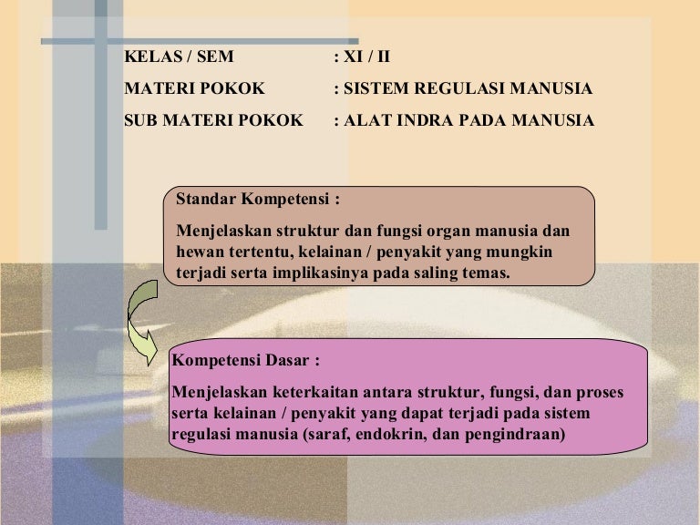 Biologi Sma Sistem Indera Biologi Sma Sistem Indera