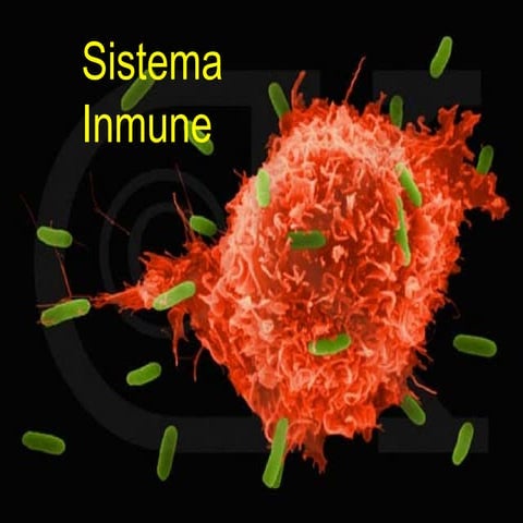 Sistem inmune, innata y adquirida