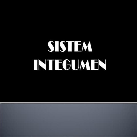 Sistem integumen