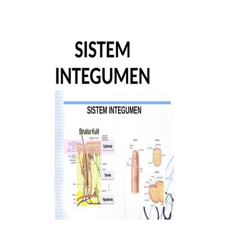 Sistem Integumen | PPTX