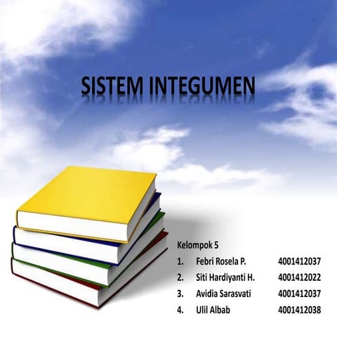 Sistem Integumen 