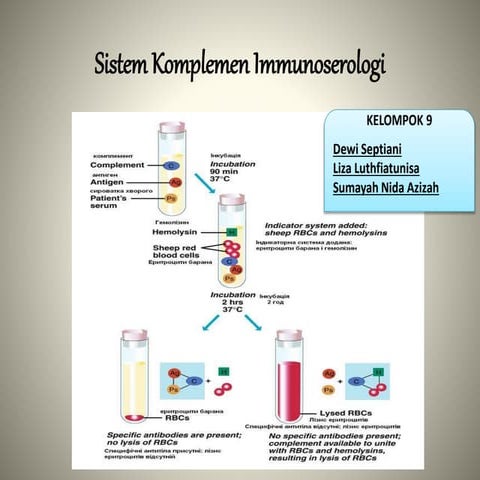 Sistem komplemen immunologi | PPTX