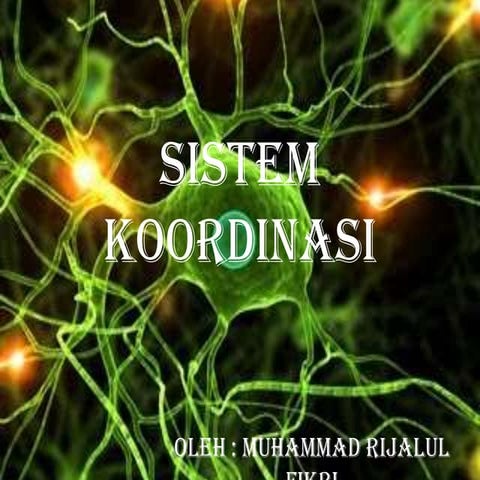 Sistem koordinasi