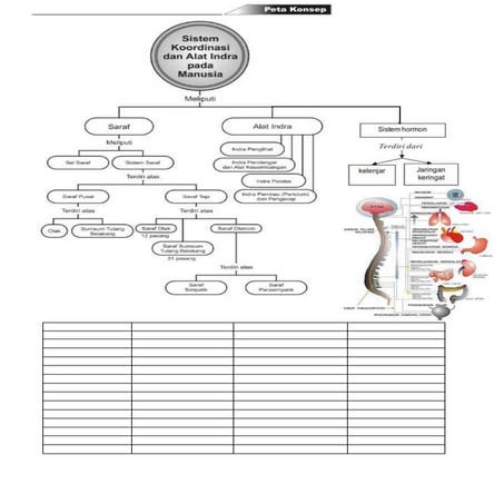 Sistem koordinasi dan alat indera untuk widha