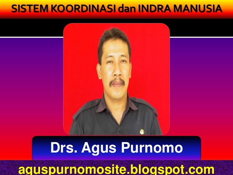 Sistem Koordinasi Dan Indra Manusia Sistem Koordinasi Dan Indra Manusia