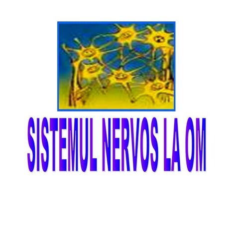 Sistem nervos