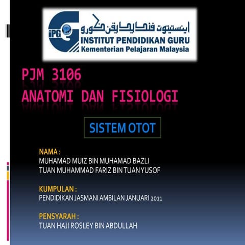 Sistemotot 130327030933-phpapp01