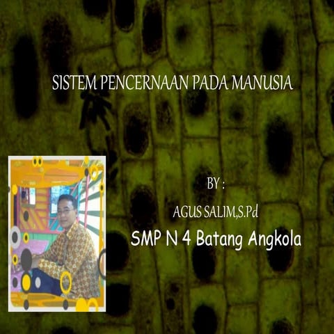 PPT Sistem Pencernaan Kelas 8