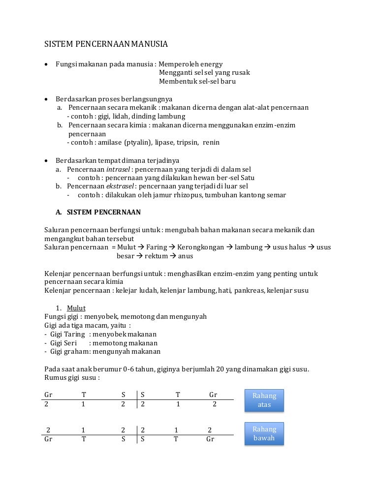 Rangkuman Sistem Pencernaan Smp Rangkuman Sistem Pencernaan Smp