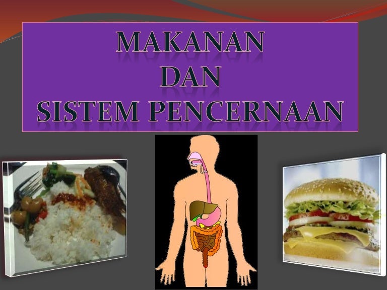 Ppt Sistem Pencernaan