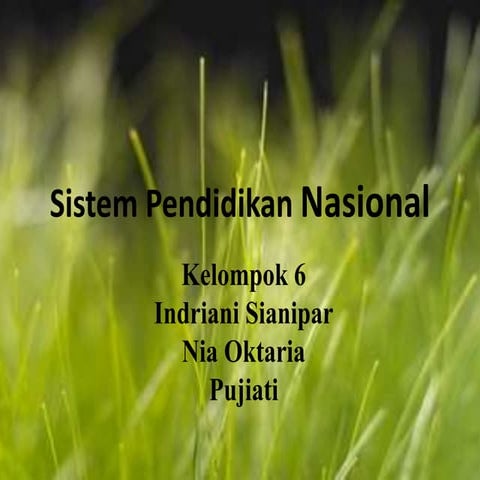 Sistem pendidikan nasional