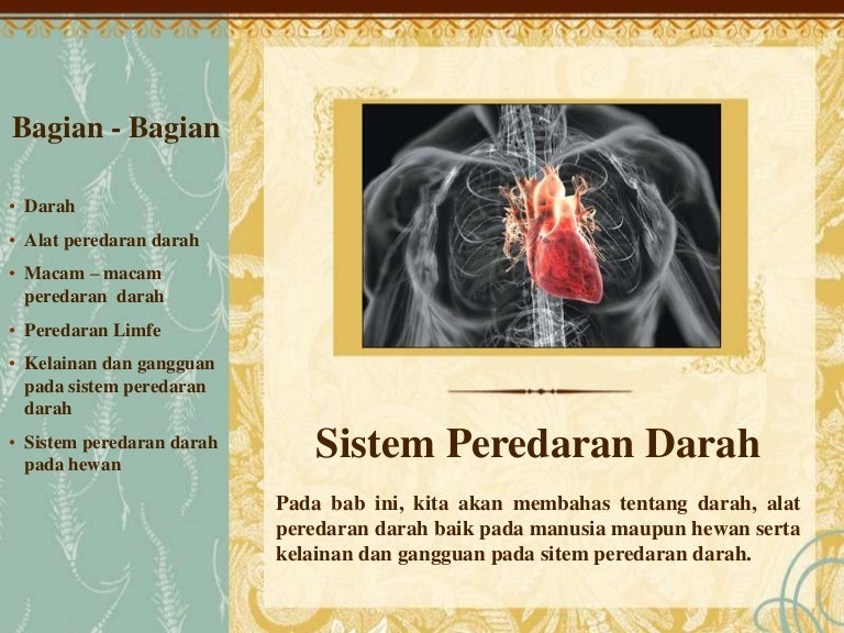Sistem Peredaran Darah
