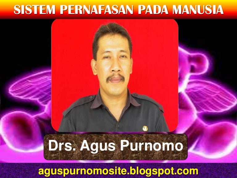 Sistem Pernafasan Pada Manusia Sistem Pernafasan Pada Manusia