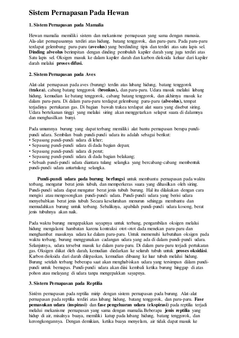 Sistem Pernapasan Pada Hewan 1 Sistem Pernapasan Pada Hewan 1