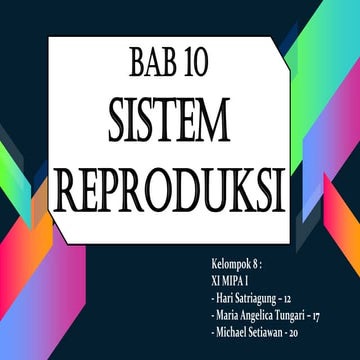 Sistem Reproduksi Manusia