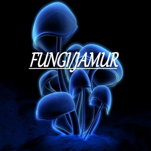 Materi Tentang Sistem Reproduksi fungi/ Jamur