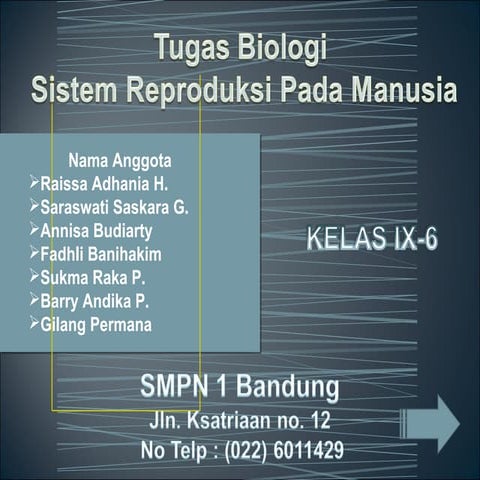 Sistem reproduksi pada manusia