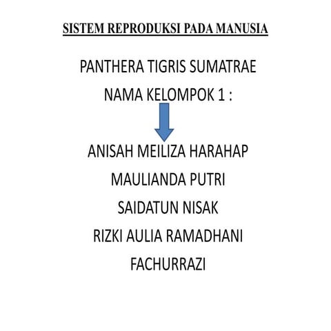 Sistem reproduksi pada manusia