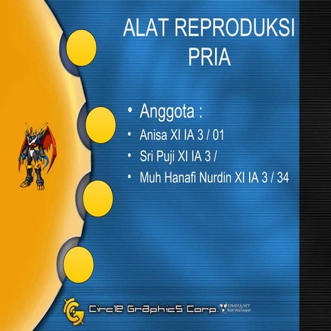 Sistem reproduksi pria