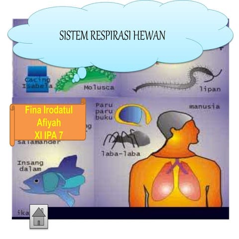 Sistem respirasi pada katak
