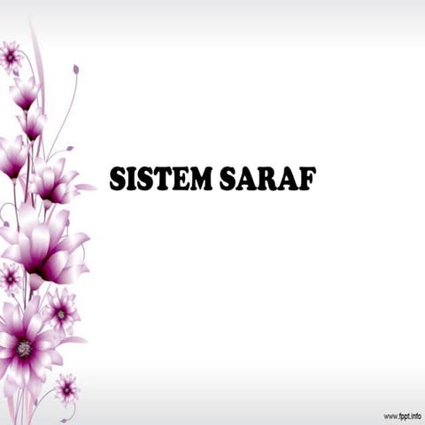 Sistem saraf