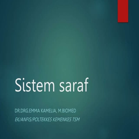 Sistem saraf.pptx