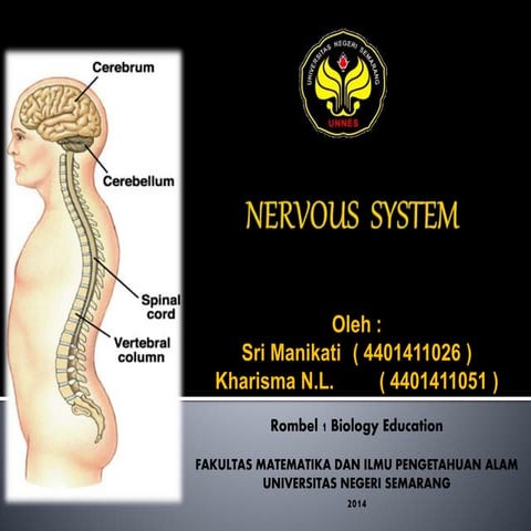 Sistem saraf Pada Manusia ( Human Nervous System) Kelompok 1 ( Manik & Kharisma)