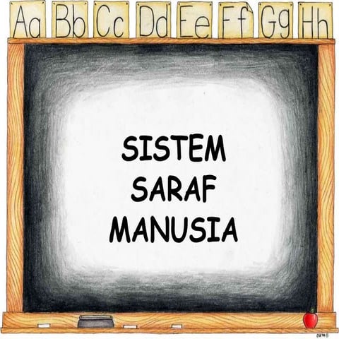 Sistem saraf pada manusia
