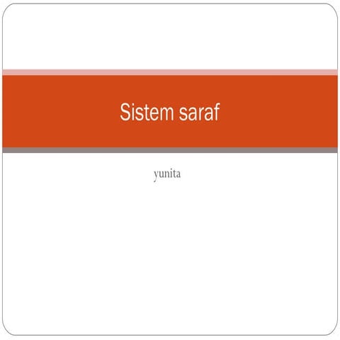 Sistem saraf