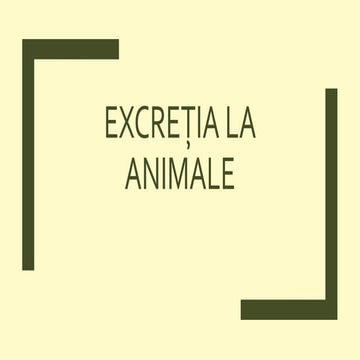 Sistemul excretor la om